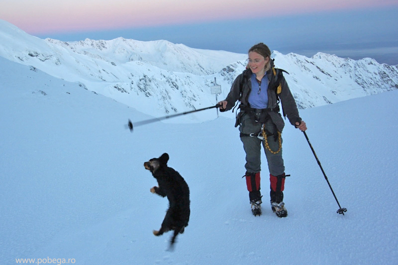 Tina - A cadelinha alpinista (2)