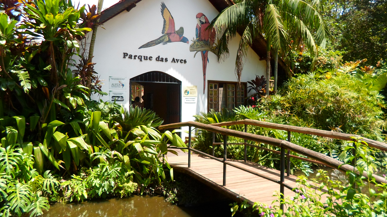 O Parque das Aves em Foz do Iguaçu | Tô Longe de Casa